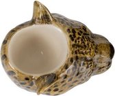 Eierdop of cactus potje- Luipaard
