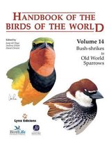 Handbook of the Birds of the World: v. 14