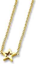 Amanto Ketting Emgre Gold - 316L Staal - Ster - ∅8mm - 45+5cm