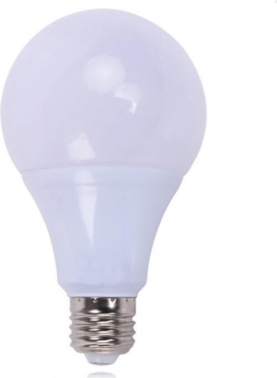 Zeer Duurzame LED Lamp 12 Volt - E27 - Sfeervolle Spotlamp voor Alle  Gelegenheden -... | bol.com
