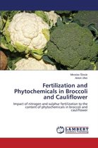 Fertilization and Phytochemicals in Broccoli and Cauliflower