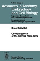 Advances in Anatomy, Embryology and Cell Biology 53/4 - Chondrogenesis of the Somitic Mesoderm
