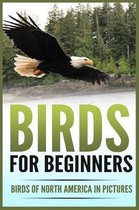 Birds for Beginners