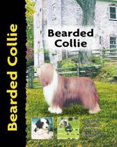 Bearded Collie