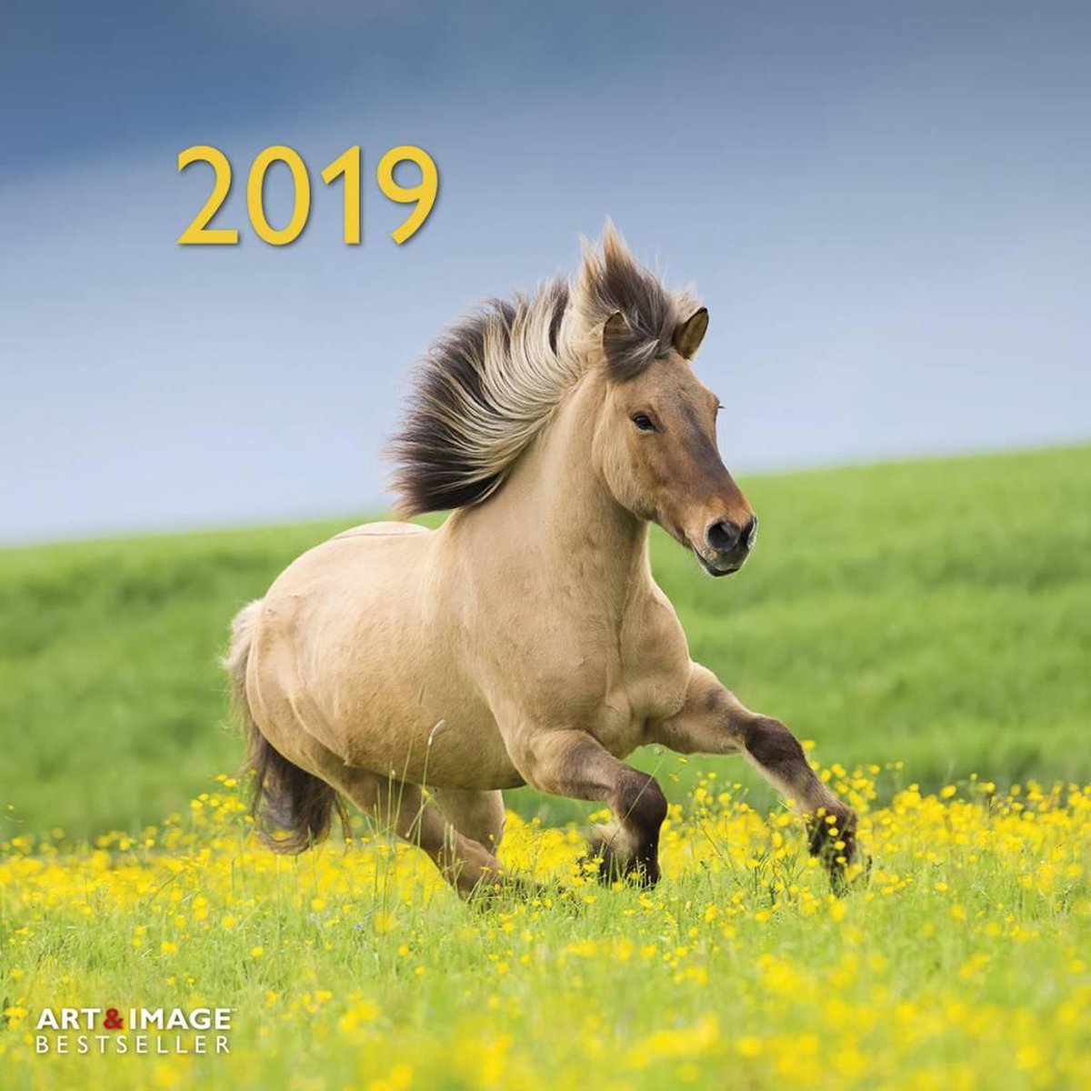 Paarden - Horses Kalender 2019 incl. jaarposter