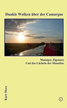 Dunkle Wolken uber der Camargue