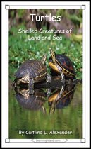 15-Minute Books - Turtles: Shelled Creatures of Land and Sea