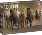 Jumbo Premium Collection Puzzel Group Of Horses - Legpuzzel - 1000 stukjes