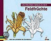 Sachkunde-Malbücher. Feldfrüchte