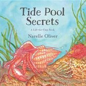 Tide Pool Secrets