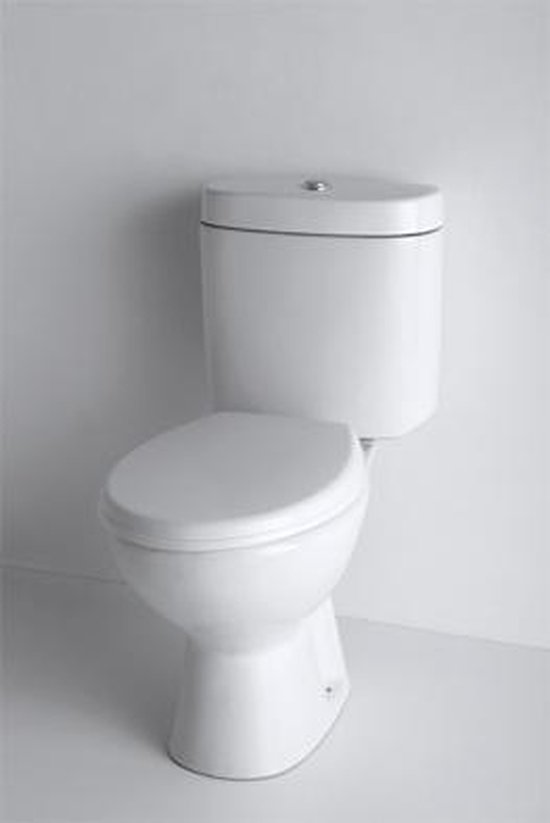 Symptomen Miniatuur Pekkadillo WC pack Flush Geberit H/PK - softclose & take off | bol.com