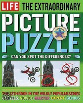 The Extraordinary Picture Puzzle