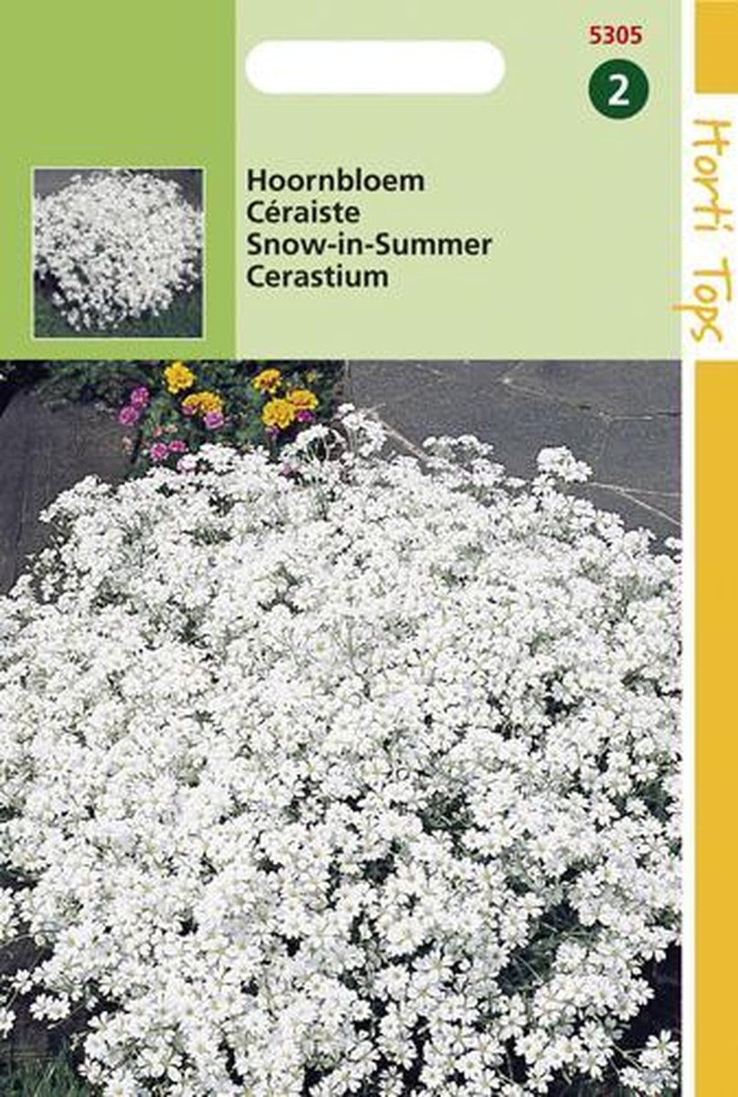 Hortitops Zaden - Cerastium Biebersteinii
