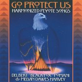 Go Protect Us