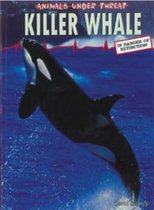 Killer Whale