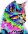 Gekleurde Poes