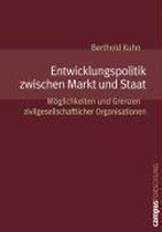 Entwicklungspolitik zwischen Markt und Staat