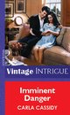 Omslag Imminent Danger (Mills & Boon Vintage Intrigue)