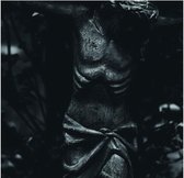 Xii (10'')