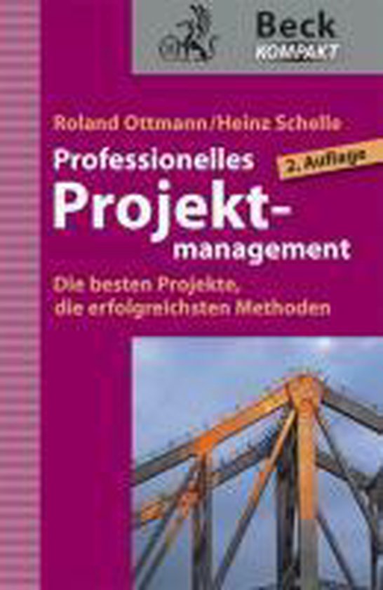 Professionelles Projektmanagement - cover