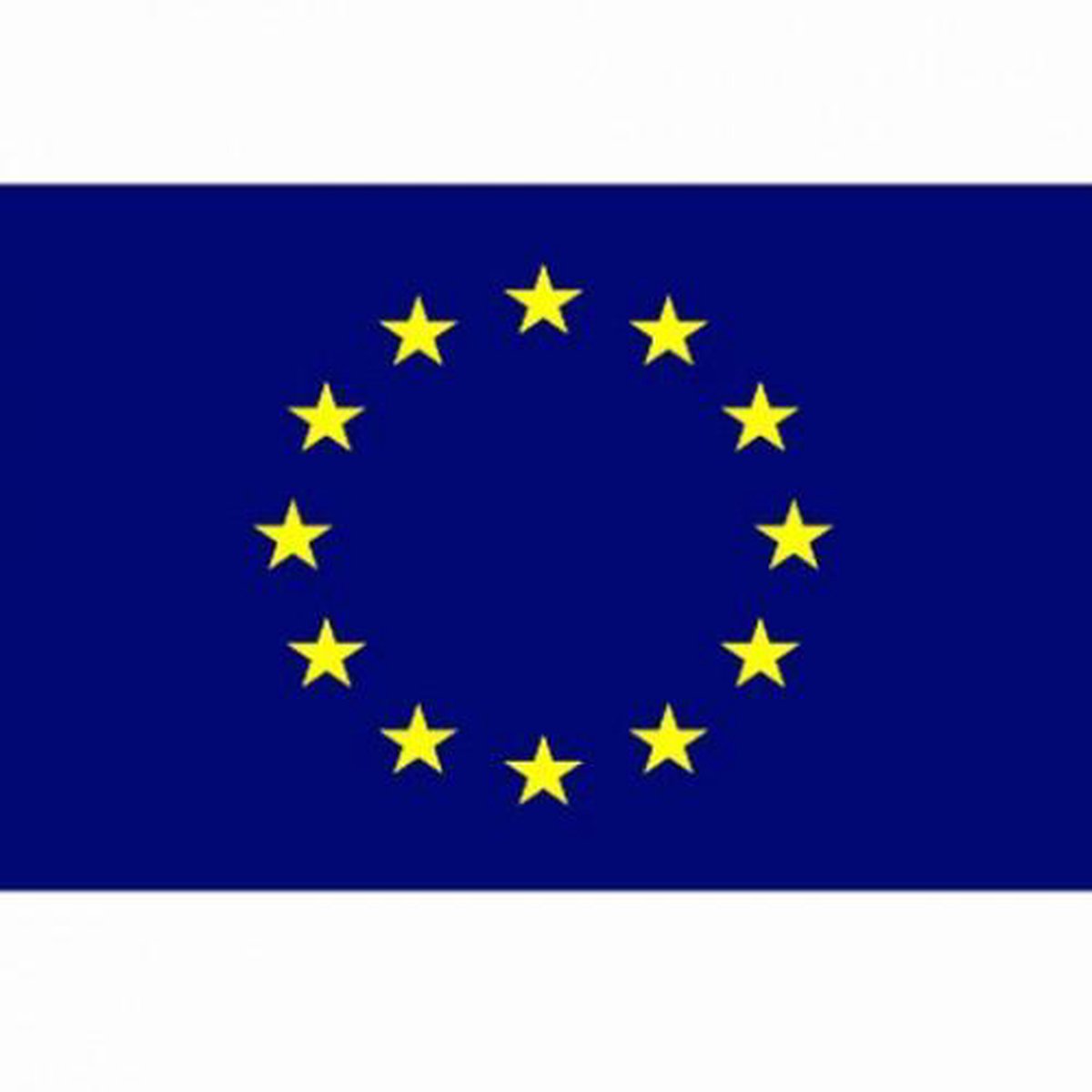vlag Europese Unie, Europa, E.U. | bol.com