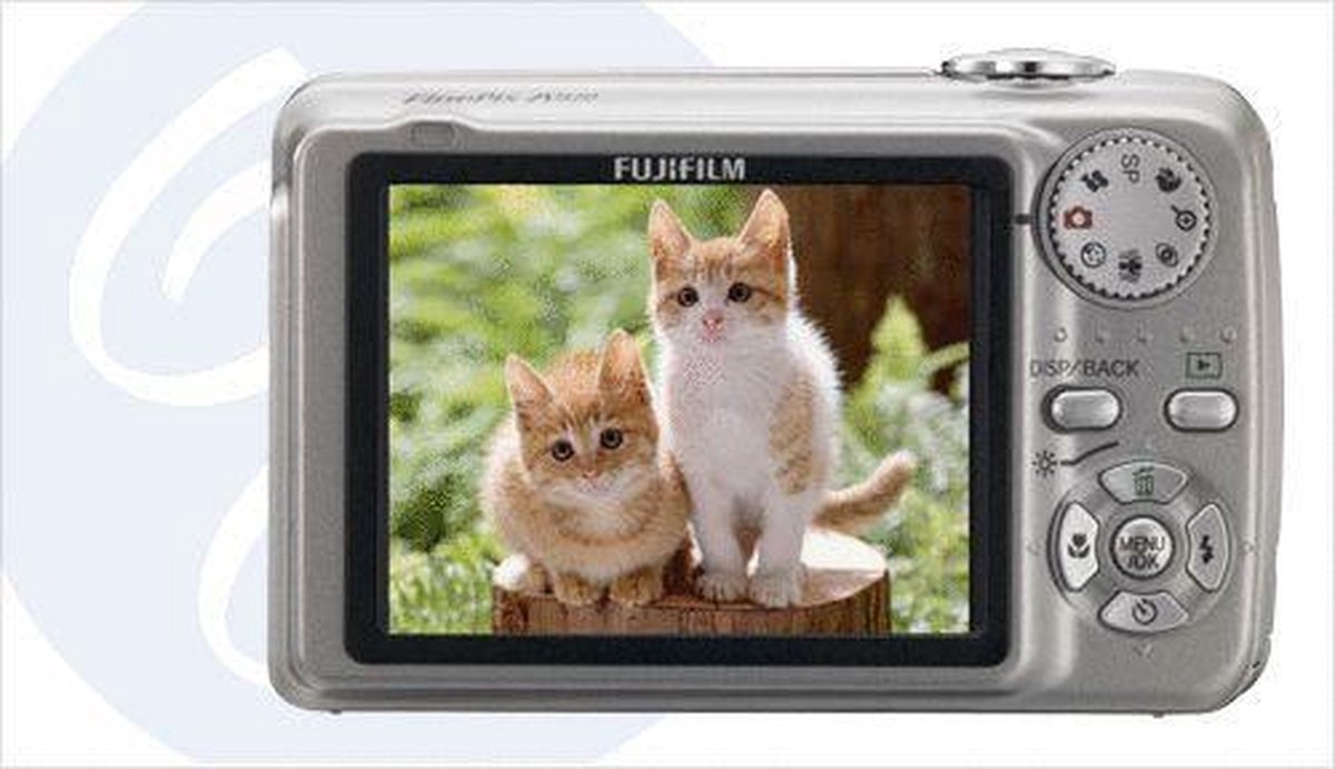 overtuigen Buitenshuis Voorgevoel Fujifilm Finepix A920 - Zilver | bol.com