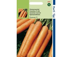 Hortitops Zaden - Wortelen Flyaway F1 Hybride