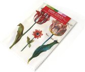 Brillendoekje, Twee tulpen, J. Marrel