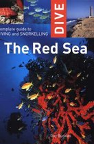 Complete Guide to Diving and Snorkelling the Red Sea