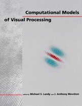 Computational Models of Visual Processing