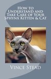 How to Understand and Take Care of Your Sphynx Kitten & Cat