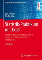 Studienbücher Wirtschaftsmathematik - Statistik-Praktikum mit Excel