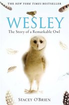 Wesley Remarkable Owl