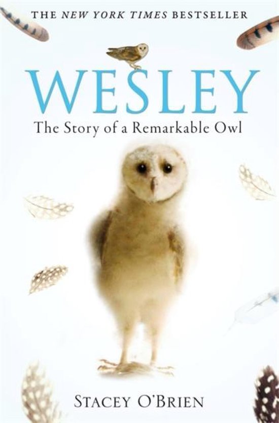 Wesley Remarkable Owl - cover