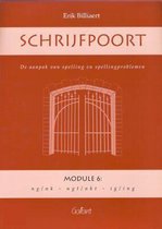 Schrijfpoort: module 6: ng, ngt, nkt, ing