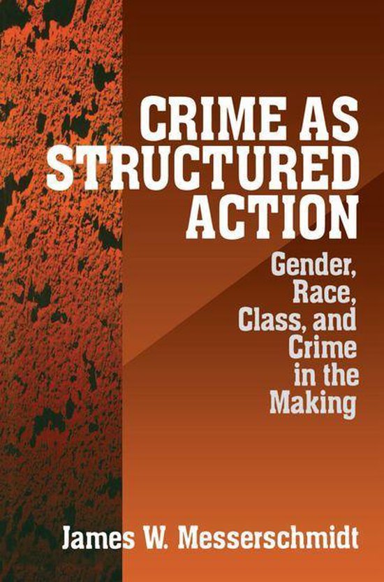 Crime as Structured Action - cover