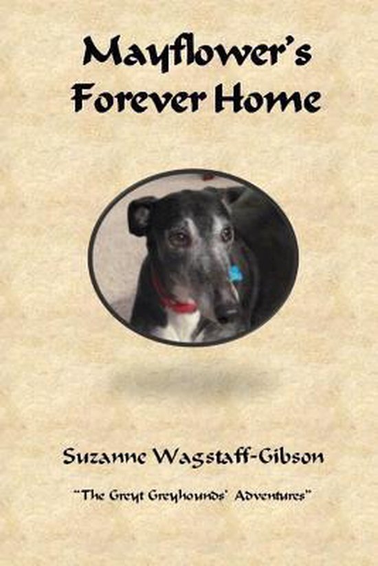 Greyt Greyhounds' Adventures- Mayflower's Forever Home