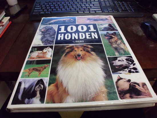 Huart - 1001 HONDEN