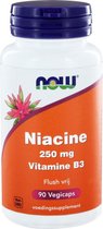 Niacin Flush Free 250Mg Now