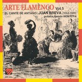 Arte Flamenco Vol. 5