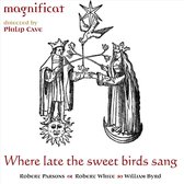 Magnificat - Lamentations (CD)