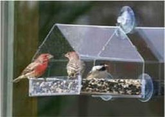 betalen een kopje Hymne Raamvoederhuisje – vogelhuisje met 1 voerbak - birdfeeder van transparant  acryl | bol.com