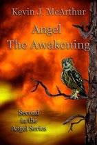 Omslag Angel The Awakening