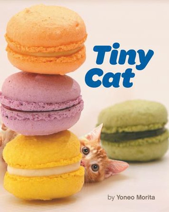 Tiny Cat - cover