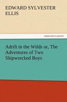 Adrift in the Wilds Or, the Adventures of Two Shipwrecked Boys