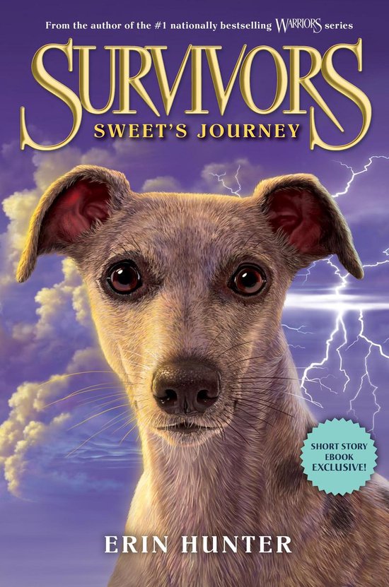 Survivors - Survivors: Sweet's Journey - cover