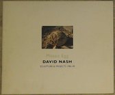 David Nash