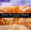 Pickin' On Garth Brooks