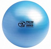 Fitness-Mad - Balansbal - PVC - max 300 kg belastbaar- Diameter 75 cm- Blauw