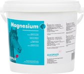Magnesium paard 1000 gram
